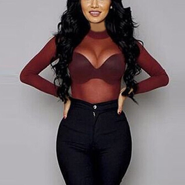 Long Sleeve Sheer Slim Ladies Turtleneck T-Shirt