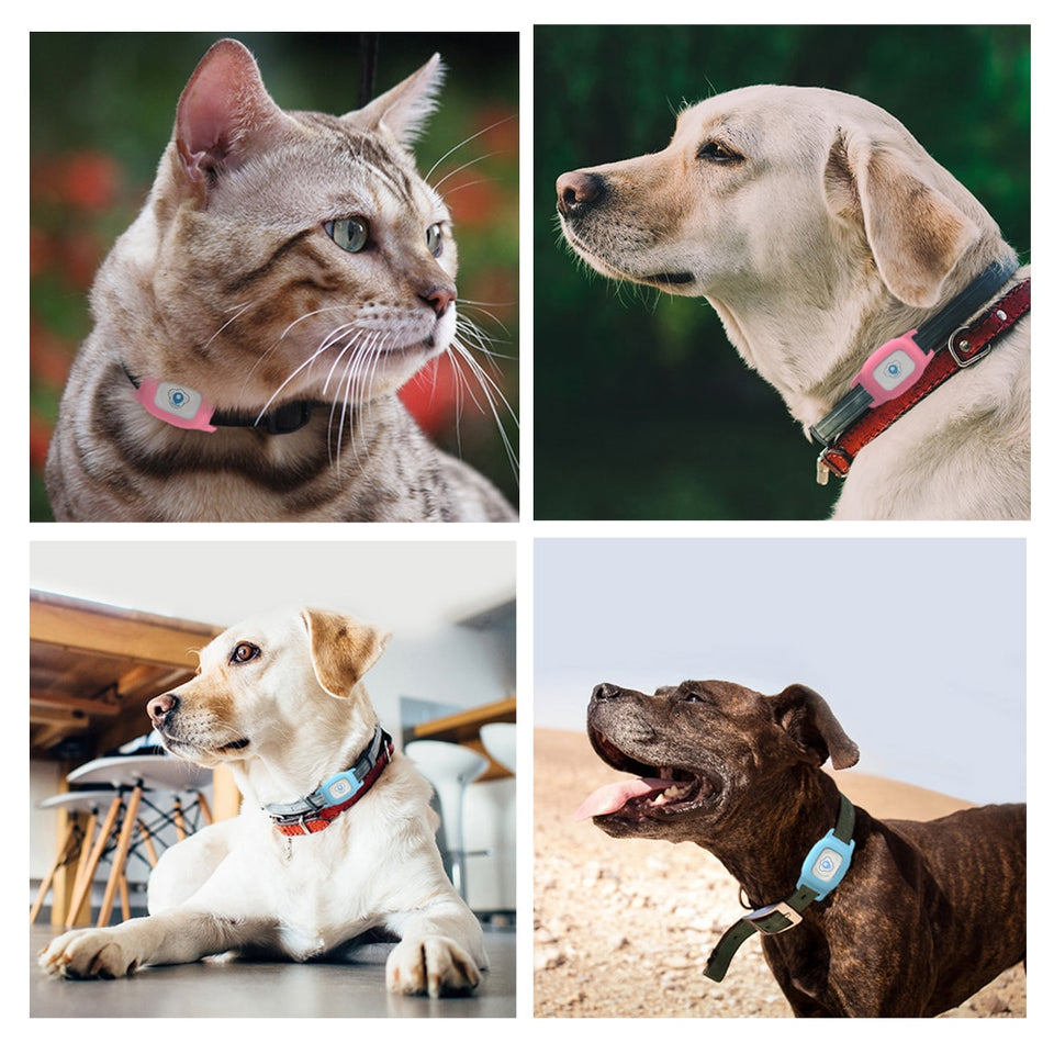 Smart Waterproof IP67 MiNi Pet GPS