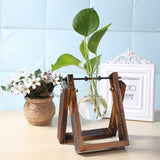 Glass and Wood Vase Planter Terrarium