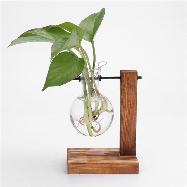 Glass and Wood Vase Planter Terrarium