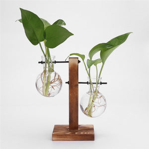 Glass and Wood Vase Planter Terrarium
