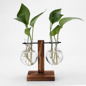 Glass and Wood Vase Planter Terrarium