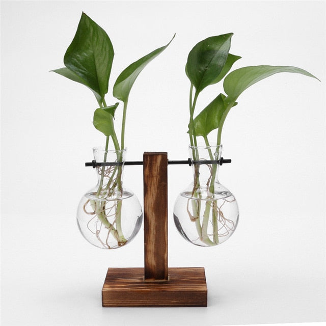 Glass and Wood Vase Planter Terrarium