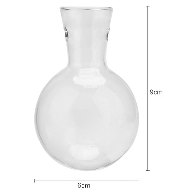 Glass and Wood Vase Planter Terrarium