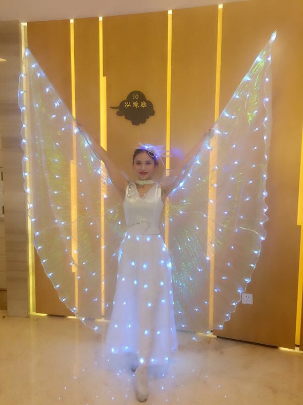 LED Butterfly Wing Cape Costume