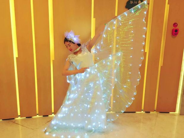 LED Butterfly Wing Cape Costume