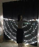 LED Butterfly Wing Cape Costume