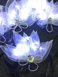 LED Butterfly Wing Cape Costume