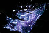 LED Butterfly Wing Cape Costume