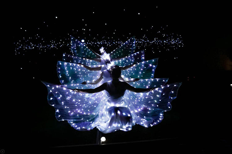 LED Butterfly Wing Cape Costume