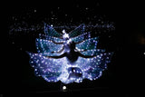 LED Butterfly Wing Cape Costume